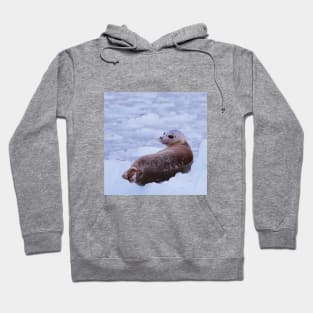 Seal Relaxing Hoodie